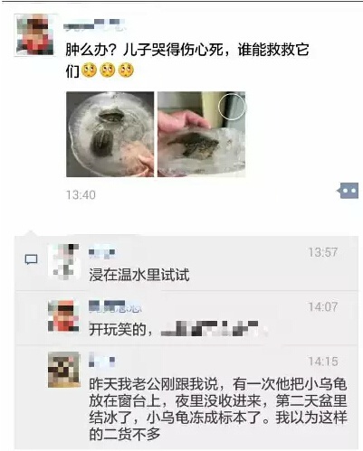 再仔細(xì)看看，額滴個(gè)蒼天??！可憐的小家伙，已經(jīng)被凍住了，四肢都露在龜殼外邊！看起來是一定沒救了！