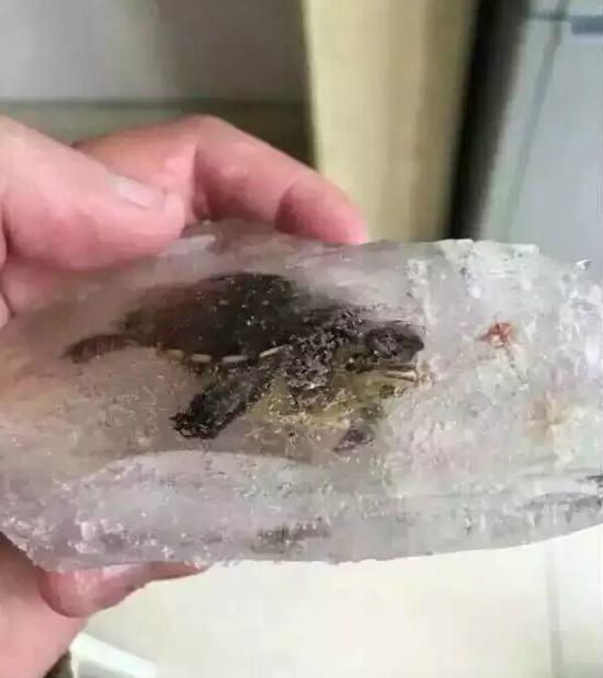 圖片來自網(wǎng)絡(luò)