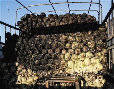 北京一市場失火燒百噸蔬菜 白菜批發(fā)價“猛漲”