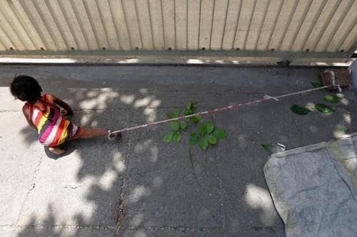 一歲嬰兒被綁街頭 40度高溫拴在石頭上9個鐘頭