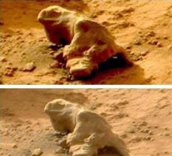 3、火星蜥蜴。（圖／今日頭條）