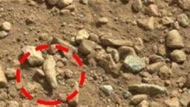 4、火星人手指。