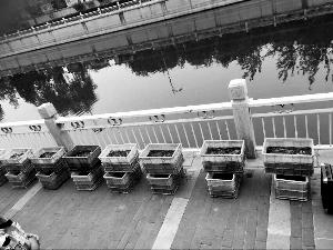 北京團(tuán)體向路人售放生用魚 泥鰍一條80元