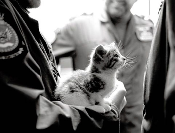 圖片默認(rèn)標(biāo)題