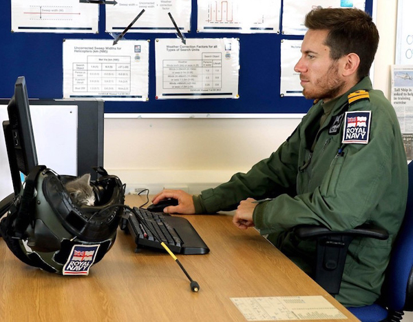 圖片默認(rèn)標(biāo)題