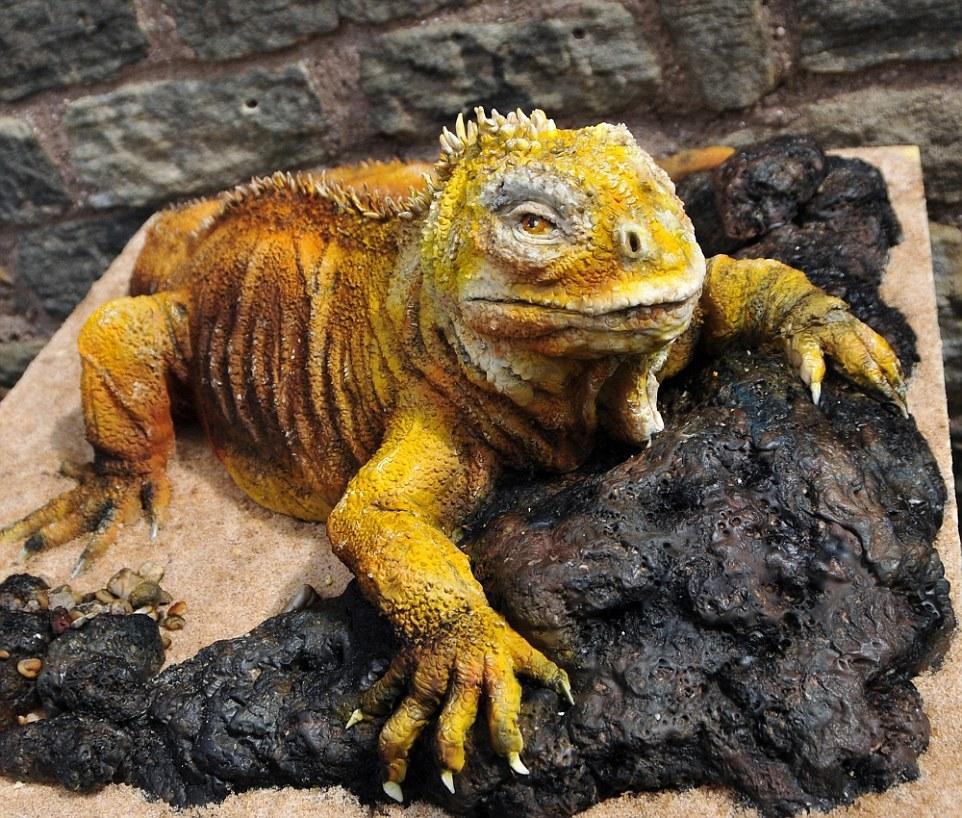 點(diǎn)擊查看大圖