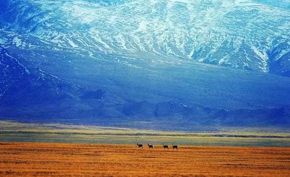 極致誘惑——阿爾金山