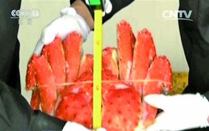 走私案中查獲的帝王蟹。