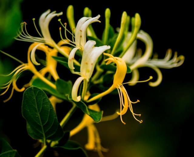 長期23點以后睡 小心這7個地方先壞！