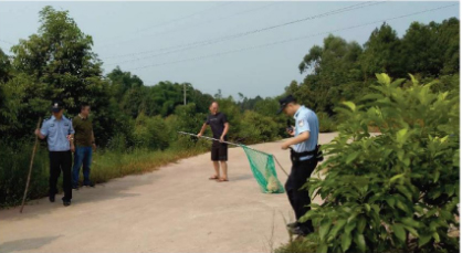 打狗隊在處理犬只。? 成都商報 圖