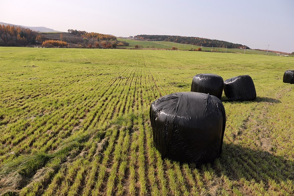01組照：牧場(chǎng)秋色-魏景春 (1).jpg