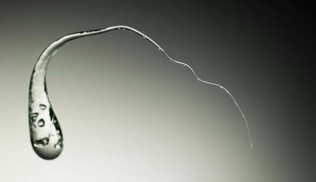 魯珀特之淚的本尊