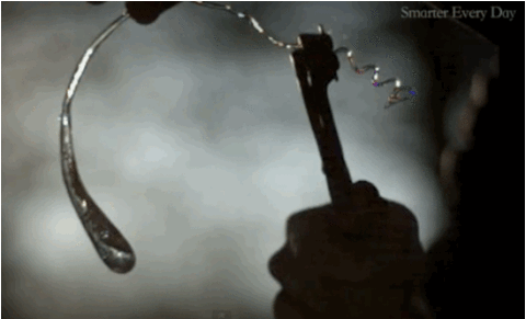 切斷尾部都破碎