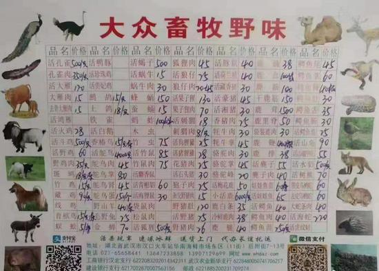 1 - 副本 - 副本 - 副本.jpg