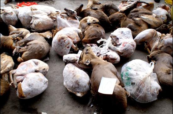 1 - 副本 - 副本.jpg