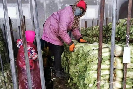 1 - 副本 - 副本 - 副本.jpg