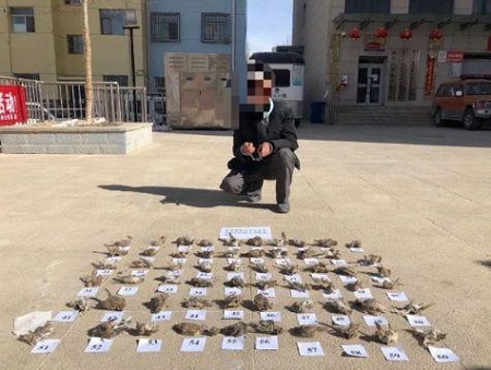 1 - 副本 - 副本 - 副本 - 副本 - 副本 - 副本 - 副本 - 副本 (3).jpg