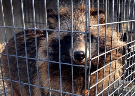 1 - 副本 - 副本 - 副本 - 副本 - 副本 - 副本 - 副本 - 副本 - 副本 - 副本.jpg