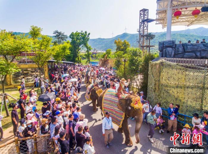 太湖龍之夢(mèng)樂園 周蘇森 攝