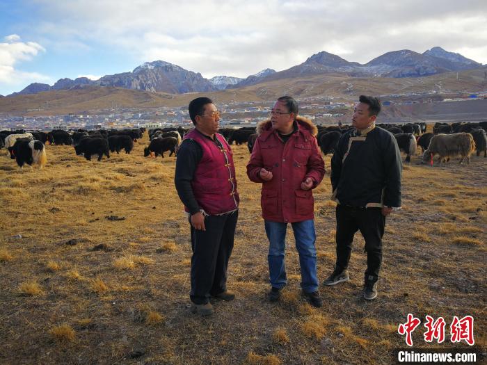 圖為宋仁德(中)在牧區(qū)查看牦牛養(yǎng)殖情況。受訪者供圖