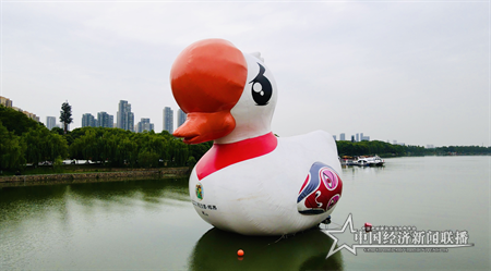 氣模蘭小白在東湖 (5) 蘇立強.png