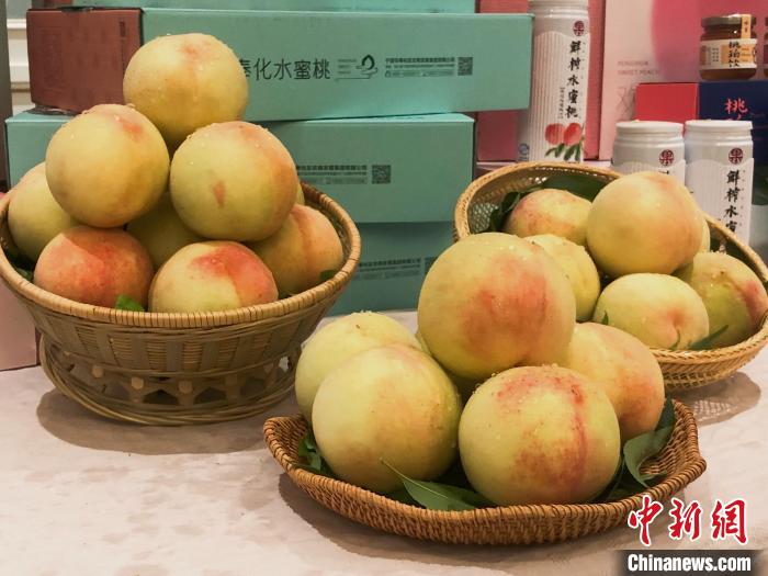 奉化水蜜桃。林波 攝