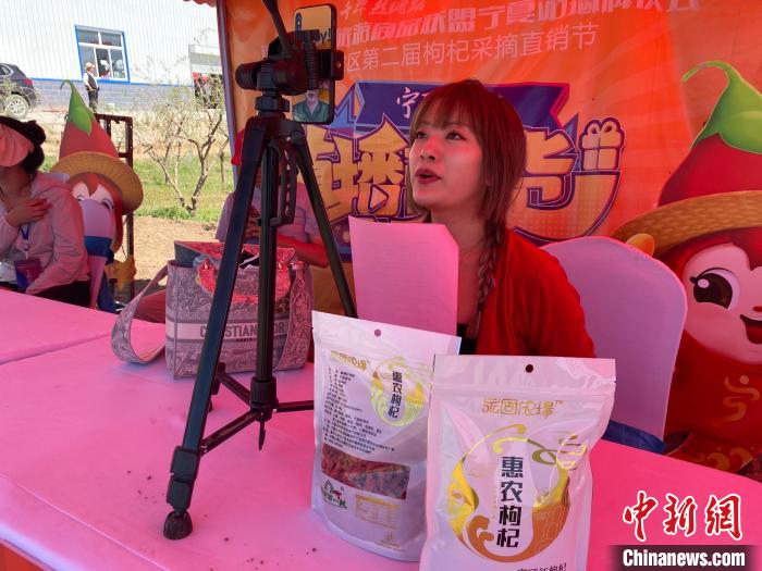 直播帶貨銷售寧夏惠農(nóng)枸杞。石嘴山市委宣傳部供圖