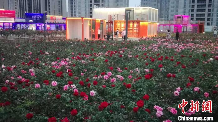 游園會(huì)現(xiàn)場。沈陽市和平區(qū)供圖