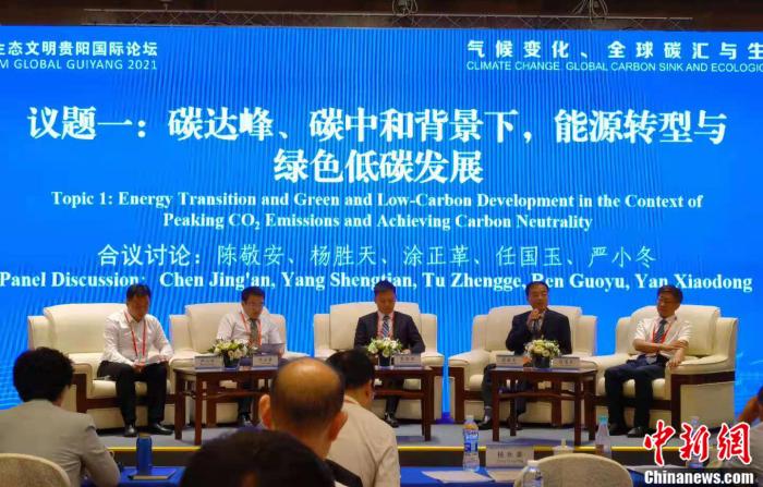 圖為論壇現(xiàn)場(chǎng) a target='_blank' href='http://www.chinanews.com/' 中新網(wǎng)/a 郎朗 攝