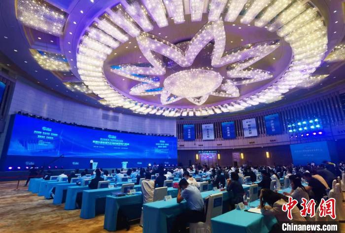 論壇現(xiàn)場。高雨晴 攝