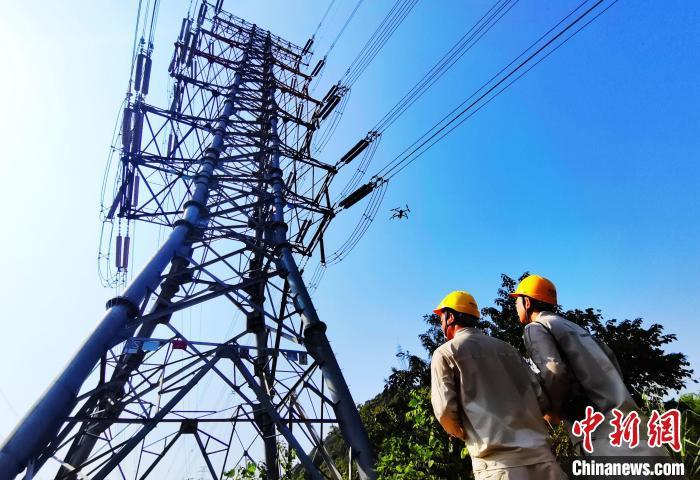 資料圖：對輸電線路開展特巡。韓薇 攝
