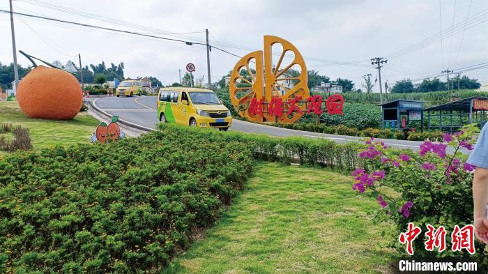 圖為宜賓市江安縣“金通工程”客運(yùn)車(chē)輛行駛在鄉(xiāng)村公路上。王鵬 攝