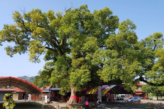 ０００ - 副本 (4).jpg