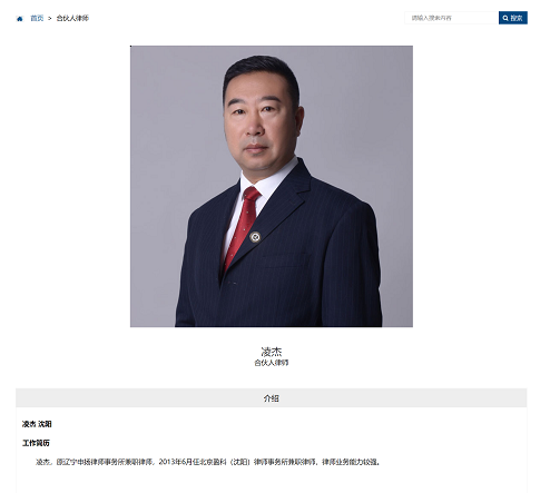 凌杰-北京盈科（沈陽）律師事務(wù)所 - 副本.png