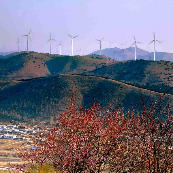 春風(fēng)  孟曉軍.jpg