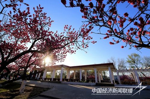 19_副本_副本.jpg?v=1691502708?v=1691502708?v=1691502708?v=1691502708?v=1691502708?v=1691502708?v=1691502708?v=1691502708?v=1691502708?v=1691502708?v=1691502708?v=1691502708?v=1691502708?v=1691502708?v=1691502708?v=1691502708?v=1691502708?v=1691502708?v=1691502708?v=1691502708