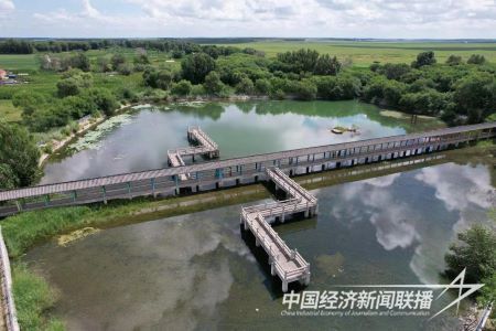 14.jpg?v=1691574400?v=1691574400?v=1691574400?v=1691574400