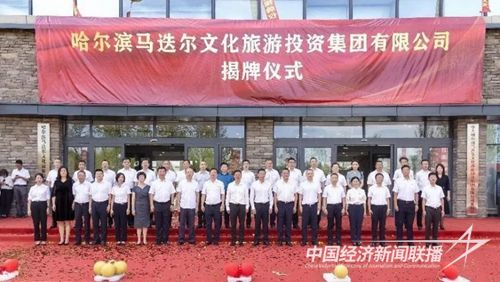 641 (4).jpg?v=1692240802