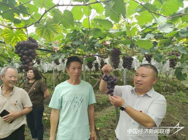 001(2).jpg?v=1693498633