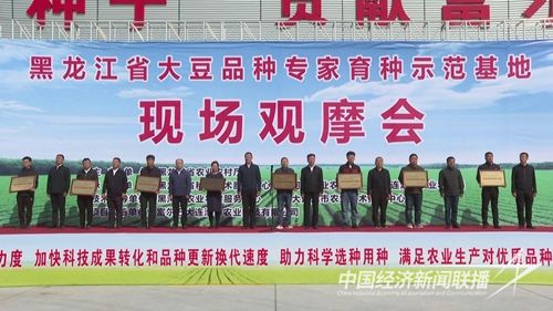 圖片2.jpg?v=1695035279