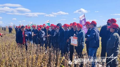 圖片3(1).jpg?v=1695035279