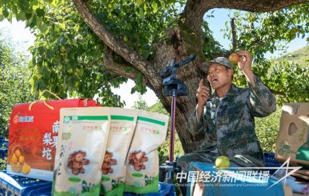 接文直播1).jpg?v=1695564280