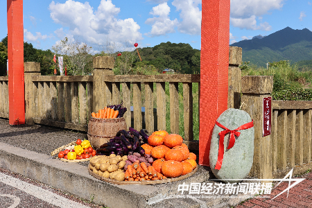 慶豐收 促和美︱福建省2023年中國農(nóng)民豐收節(jié)系列活動在上杭古田啟動8.png
