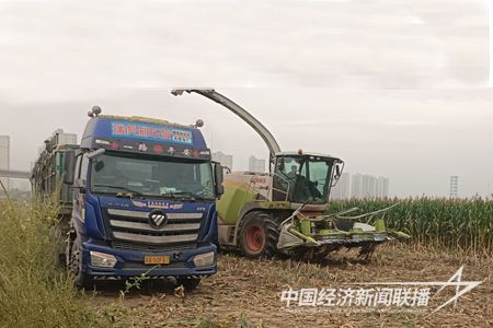 內(nèi)文標(biāo)準(zhǔn)2.jpg?v=1695812534