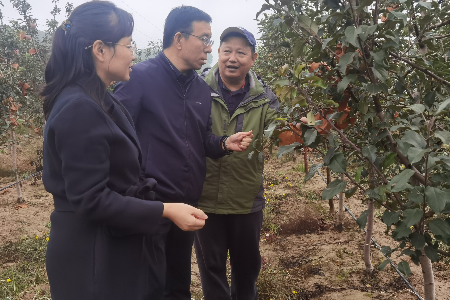 20231009  廈門(mén)赴寧夏彭陽(yáng)科技特派員進(jìn)村入戶(hù)開(kāi)展科技服務(wù)1.png