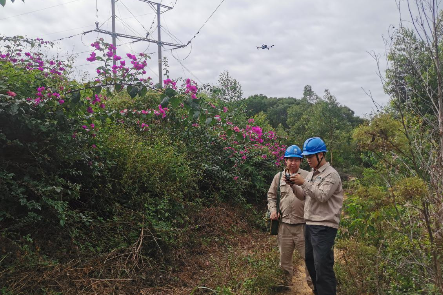 20231010  云霄供電：以學(xué)促干秋檢不“簡”保安全 .png