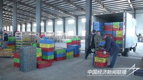 fb5a0abba07b11c25d8f869f0f7df35d.jpg?v=1697194907