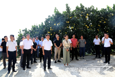 20231016  平和縣1.png