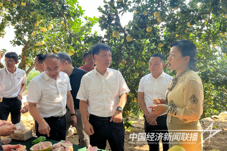 20231016  平和縣2.png