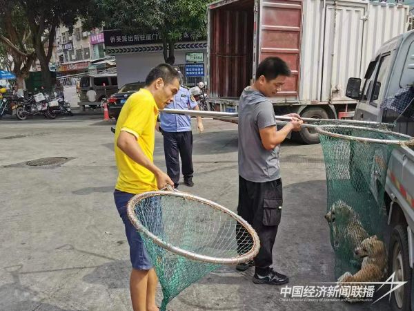 20231020  廈門集美城管4.jpeg